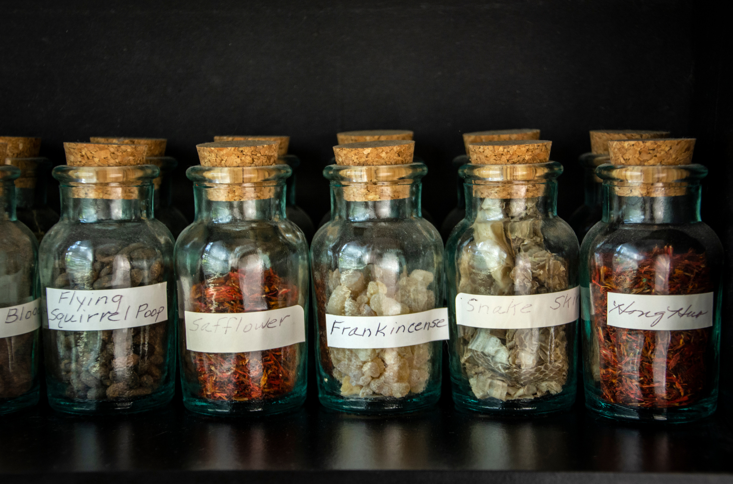 Bottles filled with strange things for Chinese Herbology